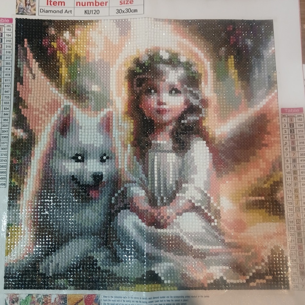 Finished 5D Diamond Art Painting Wall Art,  Girl With Dog Themed